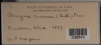 Image Associated With the Occurence